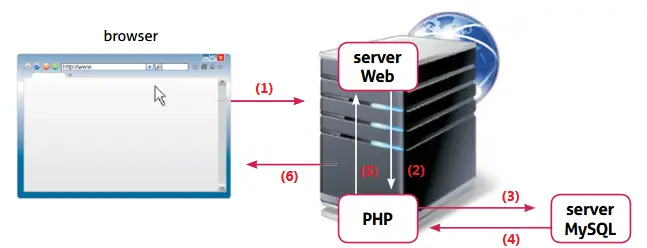 interazione PHP e MySQL interazione PHP e MySQL